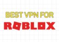 Best VPN for Roblox