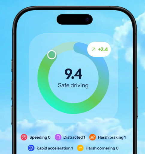 HeyPolo Review