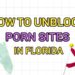 How to Unblock Porn Sites in Florida in 2026 (Best VPNs That Still Work)