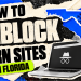 How to Unblock Porn sites in Florida in 2026 (Best VPNs That Still Work)